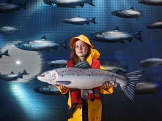 BIM-Irish-Salmon-Visitor-Experience22002